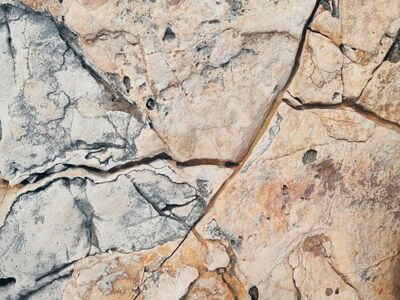 About Coconut Creek, FL 33097 Black Mold Removal - black mold removal experts in Coconut Creek